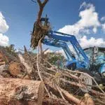48" Rake Grapple