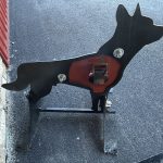 Coyote Shooting Target